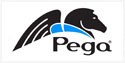 pega logo